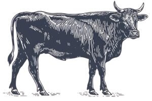 Stylized dark-blue cow shown in profile, standing and facing right, with bold line work on a white background
