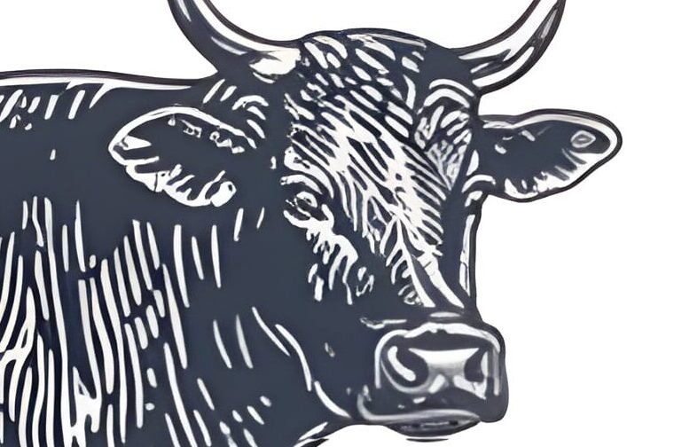 Stylized dark-blue cow shown in profile, standing and facing right, with bold line work on a white background